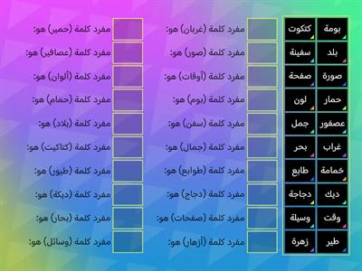  المفرد والجمع / تنظيم الوقت C