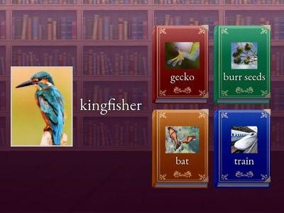 Week 13 Science Biomimicry