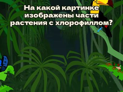 Важный пигмент