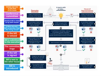 SS.7.CG.3.7 - How a Bill Becomes a Law Activity