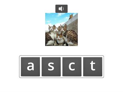 Sounds Write Word Building Unit 8