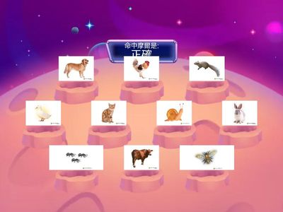 [閩/低]四隻跤的動物