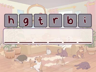 Solutions Elementary 9G Adj