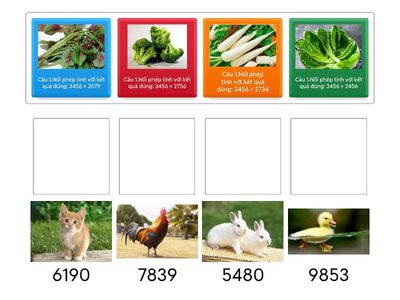 Nhóm C:  Ôn tập về phép cộng và phép trừ