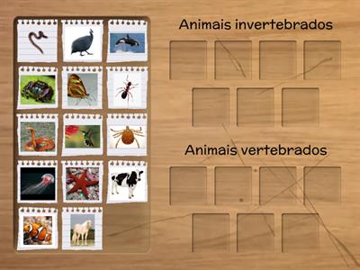 CIÊNCIAS - ANIMAIS VERTEBRADOS E INVERTEBRADOS