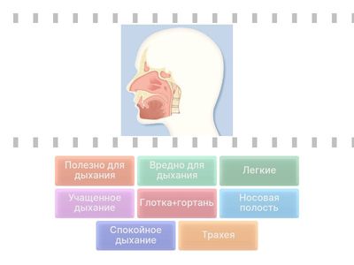  Соотнеси картинку с ее названием