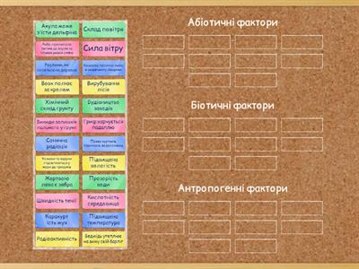 ЕКОЛОГІЧНІ ФАКТОРИ для НМТ