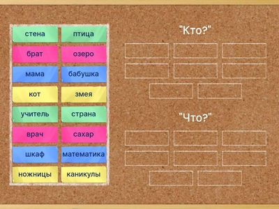 Имена существительные