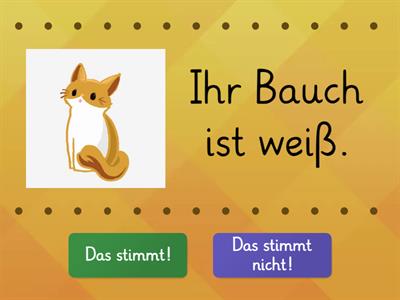 Tiere: Fraben, Körperteile. Lektion 5. Genial Klick A1