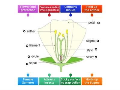 What do the bits do?