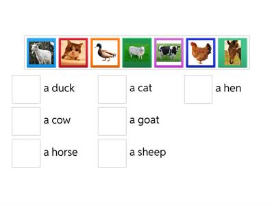 Bugs Team 2 Unit 2 Animals on the farm