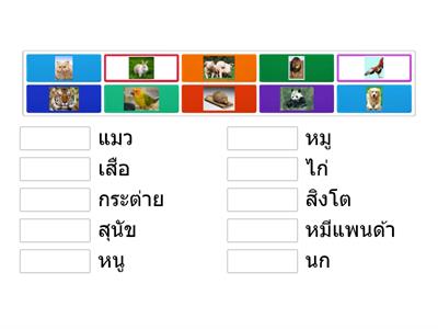 สัตว์ชนิดนี้มีชื่อว่าอะไร