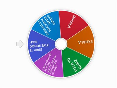 Sistema respiratorio