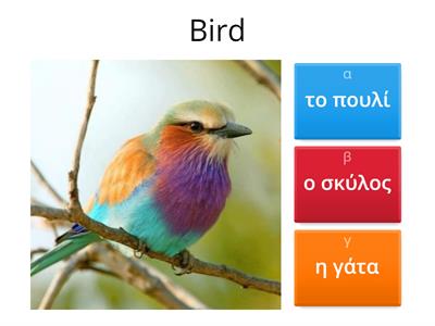 How do we say this animal in greek?