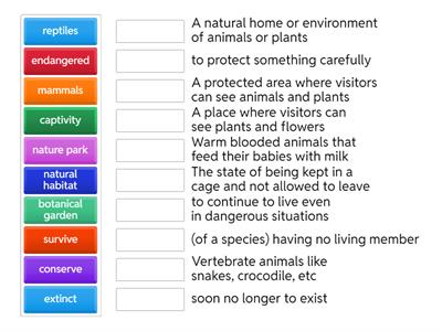 OS 2 - W 2,L5 - wildlife phrases