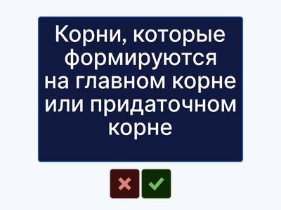 Вегетативные органы растений