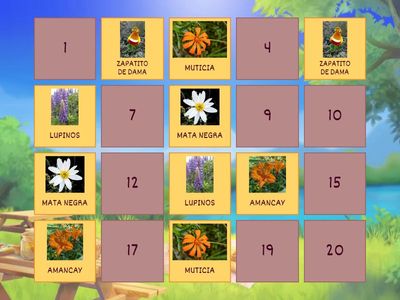 Memotest de flores patagonicas 