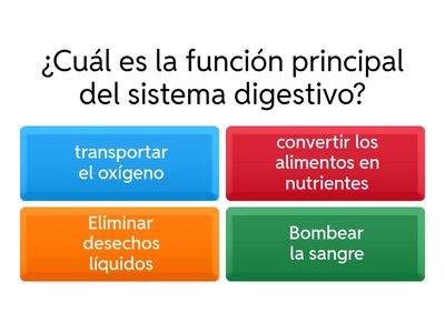 Proceso de nutrición 