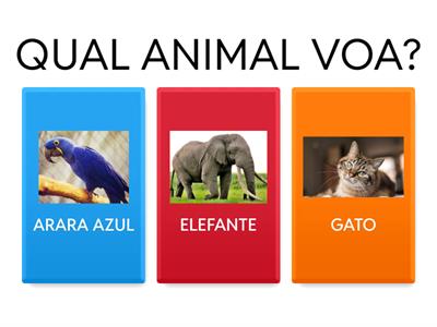QUAL ANIMAL VOA?