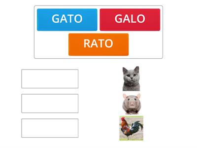  “O RATINHO, O GATO E O GALO”