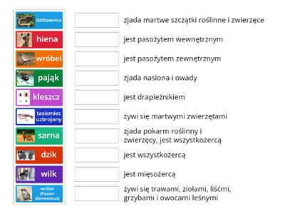 Cudzożywność / Dopasuj zwierzęta do podanych informacji