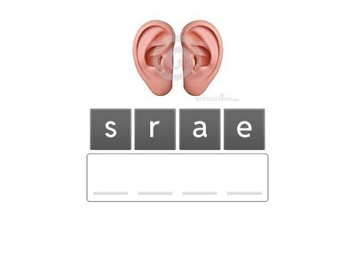 Копія частин обличчя