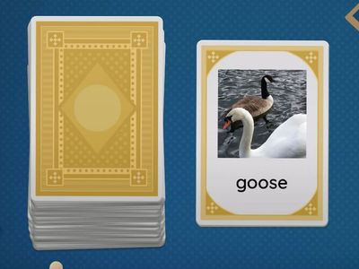 Irregular Plural Nouns