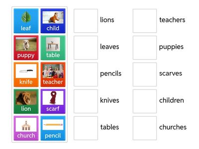 Singular and Plural Nouns Match