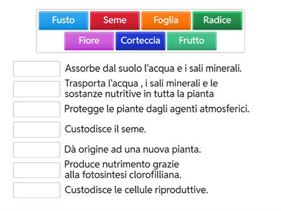 Verifica sulle piante.