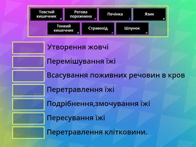 Травна система людини (5 клас НУШ)