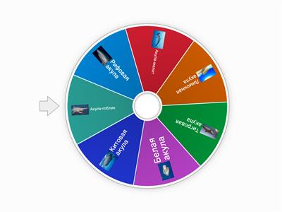 Крути колесо и пиши названия акул