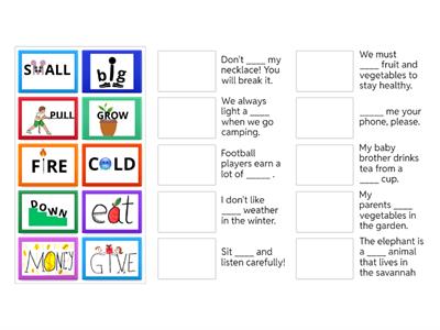Complete the sentences with Snapwords