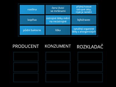 Potravní řetězec, koloběh látek