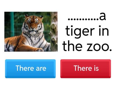 Zoo Animals Quiz