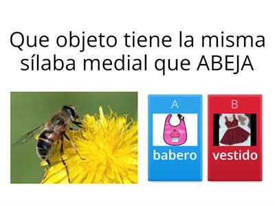 MISMA SÍLABA MEDIAL