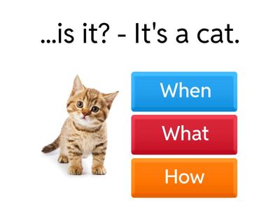 Who, when, what, where, how