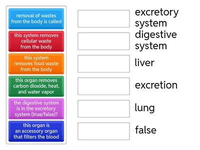 excretory system jobs