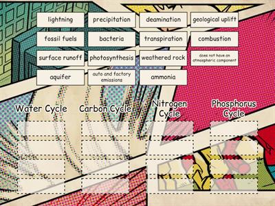 Nutrient Cycles
