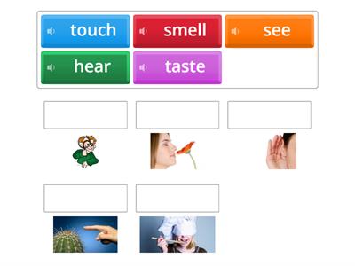 5 senses - 5 zmyslov