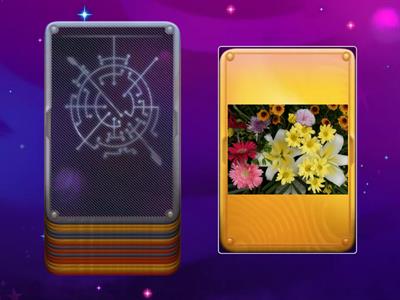 Which where who (that)