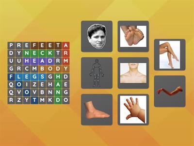 BODY-PARTS