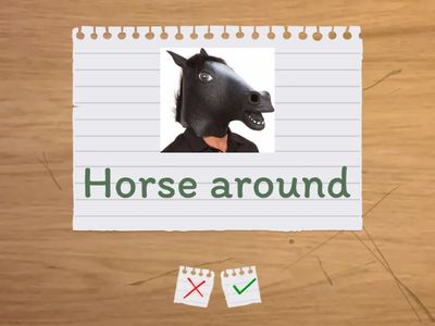 Idiomatic Verbs with Animals