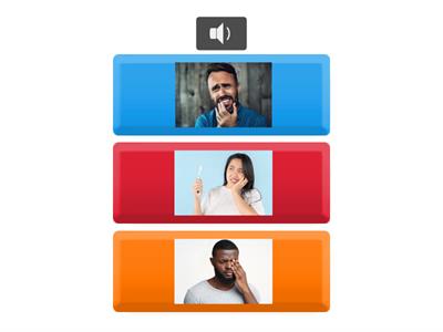 5.1.3 Body Sentence Picture Quiz 