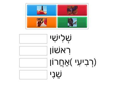 סרטון הסוריקטות