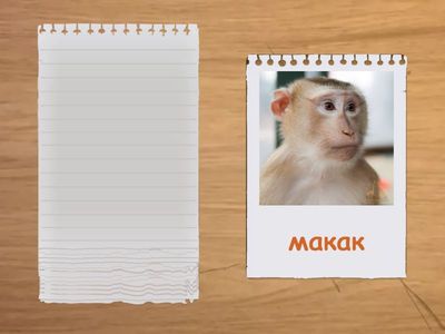 Задача 10: Кои природни зони обитават следните животни?