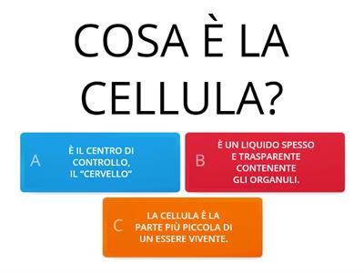  CELLULA QUIZ