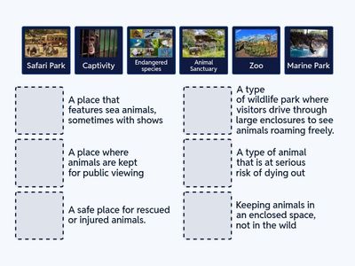Zoos & Wildlife Vocabulary 