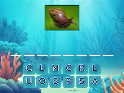 ANIMAL CLASSIFICATION 1