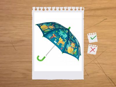 Vocabualry: Everyday objects 1; Roadmap A2; U1C