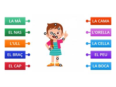 LES PARTS DEL COS
